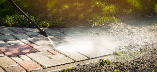 Best Gutter Cleaning  in Little Elm, TX